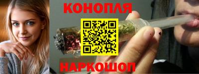 ALPHA-PVP Партизанск